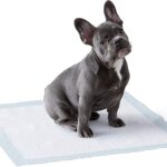 Dog and Puppy Pads, Leak-proof 5-Layer Pee Pads with Quick-dry Surface for Potty Training