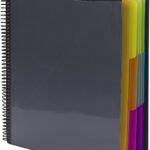 24 Pocket Poly Project Organizer, Letter Size, 1/3-Cut tab, Gray with Bright Colors